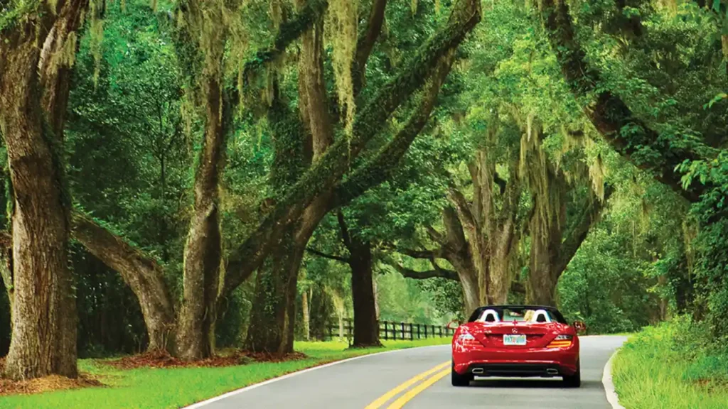 Driving through Tallahassee scenic roads