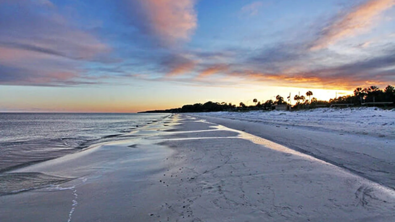 Does Tallahassee Have a Beach? Best Coastal Escapes Nearby