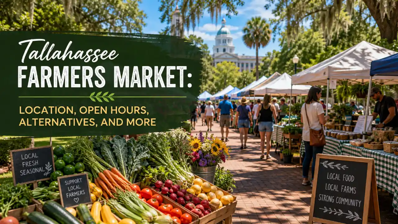 Tallahassee Farmers Market: Location, Open Hours, Alternatives, and More